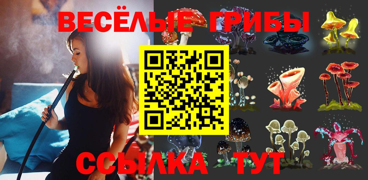 Псилоцибиновые грибы Psilocybe  Вход с VPN  Салехард 