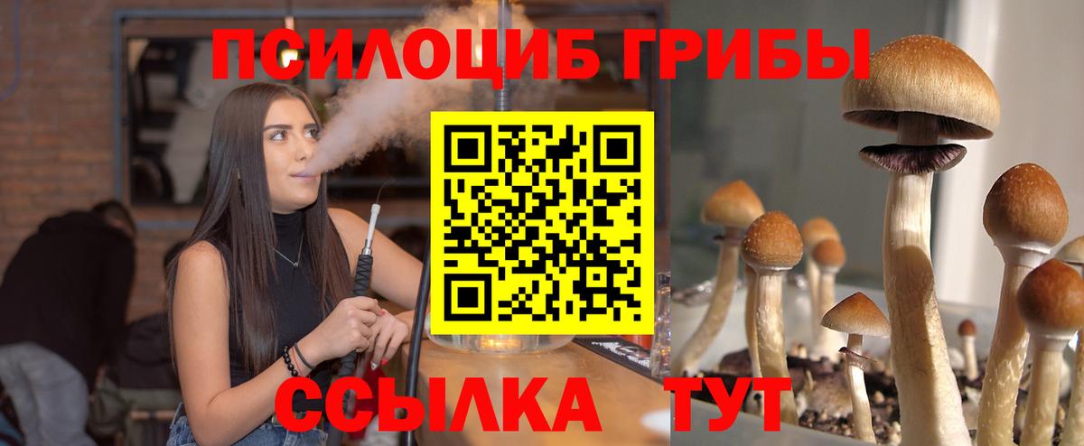 Псилоцибиновые грибы прущие грибы Салехард